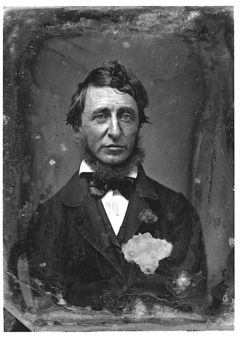 Henry David Thoreau
